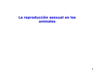 La reproducción asexual en los
          animales




                                 9
 