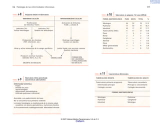 C6 Patología de las enfermedades infecciosas 117
TUBERCULOSIS INFANTIL TUBERCULOSIS DEL ADULTO
Tuberculosis primaria progresiva Tuberculosis secundaria
Enfermedad principal Principal o concomitante
Contagio cercano Contagio desconocido
FORMAS ANATOMOCLÍNICAS
Meníngea Pulmonar
Pulmonar Ganglionar
Intestinal Meníngea
TABLA 6-11 Características diferenciales
FORMA ANATOMOCLÍNICA PURA MIXTA TOTAL %
Meníngea 26 52 78 51.3
Pulmonar 17 54 71 46.7
Intestinal 10 17 27 17.7
Tuberculoma (SNC) 4 17 21 13.8
Ósea 1 3 4 2.6
Renal 2 1 3 1.9
Ganglionar 2 — 2 1.3
Adrenal 1 — 1 0.6
Ótica — 1 1 0.6
Miliar generalizada — — 9 5.9
Asintomática — — 8 5.2
TABLA 6-10 Tuberculosis en autopsias. 152 casos (INPed)
Enfermedad sistémica:
Fiebre
Pérdida de peso
Visceromegalia
Alteraciones hematológicas
Infiltrado pulmonar intersticial
Asociada a un padecimiento de base
No se encuentra foco primario evidente
La lesión histológica es multivisceral de la misma edad,
exudativa con pocos granulomas y numerosos bacilos.
Es frecuentemente subdiagnosticada. Mortalidad elevada
TABLA 6-9
Tuberculosis miliar generalizada
Características sobresalientes
TABLA 6-8 Respuesta inmune en tuberculosis
INMUNIDAD CELULAR HIPERSENSIBILIDAD CELULAR
Proliferación
de linfocitos TCD4+
Activación de linfocitos
TCD8+ y células K
Atrae y activa monocitos de la sangre periférica
Linfocitos Th1
Activa macrófagos
Linfocitos Th2
Síntesis de anticuerpos
Producción de citocinas
(FNT, interferón, etc.)
FORMACIÓN
DE CAVERNAS
Y PROLIFERACIÓN
DE BACILOS
Lesión tisular con necrosis caseosa
(bacilos inactivos)
Destruye macrófagos
locales con bacilos
GRANULOMA
Producen enzimas lisonales,
radicales libres, IL2, etc.
MUERTE DE BACILOS
© 2007 Editorial Médica Panamericana, S.A de C.V.
Cisfarm
 