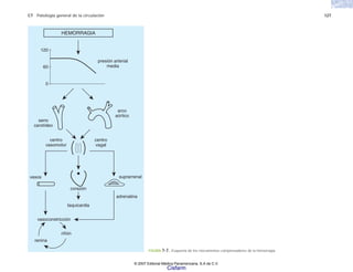 C7 Patología general de la circulación 127
FIGURA 7-7. Esquema de los mecanismos compensadores de la hemorragia.
HEMORRAGIA
presión arterial
media
seno
carotídeo
centro
vasomotor
vasos
corazón
vasoconstricción
taquicardia
riñón
renina
adrenalina
suprarrenal
centro
vagal
arco
aórtico
120
60
0
© 2007 Editorial Médica Panamericana, S.A de C.V.
Cisfarm
 