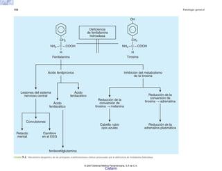 158 Patología general
FIGURA 9-2. Mecanismo bioquímico de las principales manifestaciones clínicas provocadas por la deficiencia de fenilalanina hidroxilasa.
C
Fenilalanina
Deficiencia
de fenilalanina
hidroxilasa
o
m
s
i
l
o
b
a
t
e
m
l
e
d
n
ó
i
c
i
b
i
h
n
I
o
c
i
v
ú
r
i
p
l
i
n
e
f
o
d
i
c
Á
de la tirosina
Reducción de la
conversión de
tirosina → adrenalina
Reducción de la
conversión de
tirosina → melanina
Reducción de la
adrenalina plasmática
Cabello rubio
ojos azules
Lesiones del sistema
nervioso central
Convulsiones
Ácido
fenilacético
Ácido
fenilacético
Retardo
mental
Cambios
en el EEG
fenilacetilglutamina
NH2 COOH
H
CH2
C
NH2 COOH
H
Tirosina
CH2
OH
© 2007 Editorial Médica Panamericana, S.A de C.V.
Cisfarm
 
