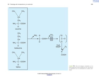 C9 Patología del metabolismo y la nutrición 159
FIGURA 9-3. Sitio del bloqueo metabólico en la
enfermedad de la orina en jarabe de arce, que afecta
el catabolismo de los aminoácidos de cadena rami-
ficada.
C
NH2 COOH
H
CH
Isoleucina
CH2
CH3
C
NH2 COOH
H
CH2
Leucina
CH3
CH3
CH
NH2
CO2
O2
C O
H
R
R
COOH
C COOH
O
R
C
NH2 COOH
H
CH
Valina
CH3
CH3
CoA
NADP
© 2007 Editorial Médica Panamericana, S.A de C.V.
Cisfarm
 
