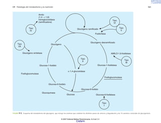 C9 Patología del metabolismo y la nutrición 161
FIGURA 9-5. Esquema del metabolismo del glucógeno, que incluye las enzimas que catalizan los distintos pasos de síntesis y degradación y las 10 variantes conocidas de glucogenosis.
Amilo
(1,4 → 1,6)
transglucosidasa
(ramificadora)
Glucógeno sintetasa
Fosfoglucomutasa
Glucosa-1-fosfato
Glucosa-6-fosfato
α 1,4-glucosidasa
Glucosa-6-fosfato
Glucosa
Glucoquinasa
Glucosa-1-fosfatasa
AMILO-1,6-fosfatasa
Glucosa-6-fosfatasa
Glucógeno ramificado
Glucógeno desramificado
Glucógeno
Fosforilasa
Tipo
IV
Tipo
VII
Tipo
VI
Tipo
V
Tipo
II
Tipo
I
Tipo
III
Fosfoglucomutasa
© 2007 Editorial Médica Panamericana, S.A de C.V.
Cisfarm
 