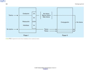 168 Patología general
FIGURA 9-12. Esquema de las dos fases metabólicas de las sustancias tóxicas.
No toxina
Oxidación OH
Reducción Conjugación
Fase II
No tóxica
COOH
NH
Hidrólisis
Fase I
SH
Toxina
No tóxica
Menos tóxica
Más tóxica
Tóxica
Tóxica
© 2007 Editorial Médica Panamericana, S.A de C.V.
Cisfarm
 