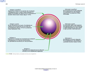 220 Patología especial
FIGURA 10-42. Partícula Dane y marcadores del virus de la hepatitis B.
© 2007 Editorial Médica Panamericana, S.A de C.V.
Cisfarm
 