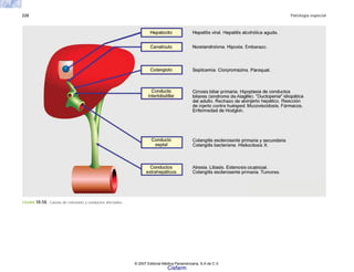 228 Patología especial
FIGURA 10-50. Causas de colestasis y conductos afectados.
© 2007 Editorial Médica Panamericana, S.A de C.V.
Cisfarm
 