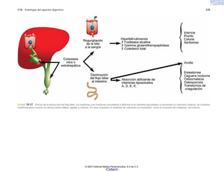 C10 Patología del aparato digestivo 235
FIGURA 10-57. Efectos de la obstrucción del flujo biliar. Los xantomas y los trastornos secundarios a deficiencia de vitaminas liposolubles se presentan en colestasis crónicas; las restantes
manifestaciones ocurren en obstrucciones biliares agudas y crónicas. En raras ocasiones el síndrome de colestasis es incompleto, como en el prurito del embarazo, sin ictericia.
© 2007 Editorial Médica Panamericana, S.A de C.V.
Cisfarm
 