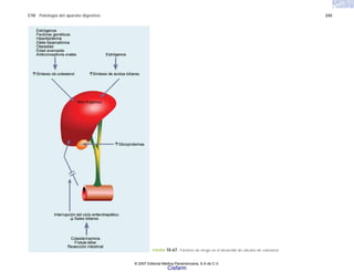 C10 Patología del aparato digestivo 245
FIGURA 10-67. Factores de riesgo en el desarrollo de cálculos de colesterol.
© 2007 Editorial Médica Panamericana, S.A de C.V.
Cisfarm
 