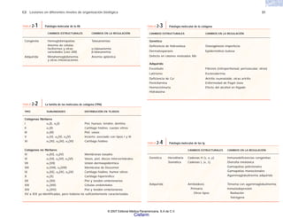 C2 Lesiones en diferentes niveles de organización biológica 31
CAMBIOS ESTRUCTURALES CAMBIOS EN LA REGULACIÓN
Congénita Hemoglobinopatías Talasanemias
Anemia de células
faciformes y otras α-talasanemia
variedades (casi 200) β-talasanemia
Adquirida Metahemoglobinemia Anemia aplástica
y otras intoxicaciones
TABLA 2-1 Patología molecular de la Hb
TIPO SUBUNIDADES DISTRIBUCIÓN EN TEJIDOS
Colágenas fibrilares
I α1(I), α2(I) Piel, huesos, tendón, dentina
II α1(II) Cartílago hialino, cuerpo vítreo
III α1(III) Piel, vasos
V α1(V), α2(V), α3(V) Incierto; asociado con tipos I y III
XI α1(XI), α2(XI), α3(XI) Cartílago hialino
Colágenos no fibrilares
IV α1(IV), α2(IV) Membranas basales
VI α1(VI), α2(VI), α2(VI) Vasos, piel, discos intervertebrales
VII α1(VII) Unión dermoepidérmica
VIII α1(VIII), α2(VIII) Membrana de Descemet
IX α1(IX), α2(IX), α2(IX) Cartílago hialino, humor vítreo
X α1(X) Cartílago hipertrófico
XII α1(XII) Piel y tendón embrionarios
XIII α1(XIII) Células endoteliales
XIV α1(XIV) Piel y tendón embrionarios
XV a XIX ya identificadas, pero todavía no suficientemente caracterizadas
TABLA 2-2 La familia de las moléculas de colágena (1996)
CAMBIOS ESTRUCTURALES CAMBIOS EN LA REGULACIÓN
Genético
Deficiencia de hidroxilasa Osteogénesis imperfecta
Dermatosparaxis Epidermólisis bulosa
Defecto en ratones moteados Mo
Adquirido
Escorbuto Fibrosis (retroperitoneal, perivascular, otras)
Latirismo Esclerodermia
Deficiencia de Cu+ Artritis reumatoide, otras artritis
Penicilamina Enfermedad de Paget ósea
Homocistinuria Efecto del alcohol en hígado
Hidralazina
TABLA 2-3 Patología molecular de la colágena
CAMBIOS ESTRUCTURALES CAMBIOS EN LA REGULACIÓN
Genética Hereditaria Cadenas H (γ, α, μ) Inmunodeficiencias congénitas
Somática Cadenas L (κ, λ) Distrofia miotónica
Gamopatías policlonales
Gamopatías monoclonales
Agammaglobulinemia adquirida
Adquirida Amiloidosis Timoma con agammaglobulinemia
Primaria Inmunodepresión
Otros tipos Radiación
Yatrógena
TABLA 2-4 Patología molecular de las Ig
© 2007 Editorial Médica Panamericana, S.A de C.V.
Cisfarm
 