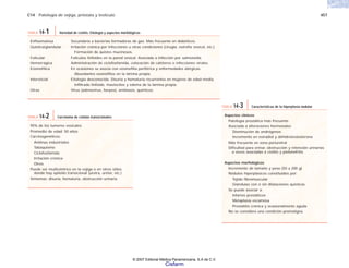 C14 Patología de vejiga, próstata y testículo 457
Aspectos clínicos
Patología prostática más frecuente
Asociada a alteraciones hormonales
Disminución de andrógenos
Incremento en estradiol y dehidrotestosterona
Más frecuente en zona periuretral
Dificultad para orinar, obstrucción y retención urinarias
a veces asociadas a cistitis y pielonefritis
Aspectos morfológicos
Incremento de tamaño y peso (50 a 200 g)
Nódulos hiperplásicos constituidos por:
Tejido fibromuscular
Glándulas con o sin dilataciones quísticas
Se puede asociar a:
Infartos prostáticos
Metaplasia escamosa
Prostatitis crónica y ocasionalmente aguda
No se considera una condición premaligna
TABLA 14-3 Características de la hiperplasia nodular
Enfisematosa Secundaria a bacterias formadoras de gas. Más frecuente en diabéticos.
Quística/glandular Irritación crónica por infecciones u otras condiciones (cirugía, extrofia vesical, etc.).
Formación de quistes mucinosos.
Folicular Folículos linfoides en la pared vesical. Asociada a infección por salmonella.
Hemorrágica Administración de ciclofosfamida, colocación de catéteres o infecciones virales.
Eosinofílica En ocasiones se asocia con eosinofilia periférica y enfermedades alérgicas.
Abundantes eosinófilos en la lámina propia.
Intersticial Etiología desconocida. Disuria y hematuria recurrentes en mujeres de edad media.
Infiltrado linfoide, mastocitos y edema de la lámina propia.
Otras Virus (adenovirus, herpes), amibiasis, químicos.
TABLA 14-1 Variedad de cistitis. Etiología y aspectos morfológicos
95% de los tumores vesicales
Promedio de edad: 50 años
Carcinogenéticos:
Anilinas industriales
Tabaquismo
Ciclofosfamida
Irritación crónica
Otros
Puede ser multicéntrico en la vejiga o en otros sitios
donde hay epitelio transicional (uretra, uréter, etc.)
Síntomas: disuria, hematuria, obstrucción urinaria
TABLA 14-2 Carcinoma de células transicionales
© 2007 Editorial Médica Panamericana, S.A de C.V.
Cisfarm
 