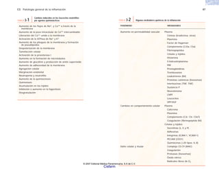 C3 Patología general de la inflamación 47
Aumento de los flujos de Na+, y Ca++ a través de la
membrana
Aumento de la poza intracelular de Ca++ intercambiable
Liberación del Ca++ unido a la membrana
Activación de la ATPasa de Na+ y K+
Aumento de los pliegues de la membrana y formación
de pseudópodos
Despolarización de la membrana
Tumefacción celular
Activación de la proesterasa I
Aumento en la formación de microtúbulos
Aumento de glucólisis y producción de anión superóxido
Aumento de adhesividad de la membrana
Agregación celular
Marginación endotelial
Neutropenia y neutrofilia
Aumento de la quimiocinesis
Quimiotaxis
Acumulación en los tejidos
Inhibición o aumento en la fagocitosis
Desgranulación
TABLA 3-1
Cambios inducidos en los leucocitos neutrófilos
por agentes quimiotácticos
FENÓMENO MEDIADORES
Aumento en permeabilidad vascular Plasma
Cininas (bradicinna, otras)
Plasmina
Factor de Hageman
Complemento (C33a, C5a)
Fibrinopéptidos
Células y tejidos:
Histamina
5-hidroxitriptamina
PAF
Prostaglandinas
Tromboxanos
Leukotrienos (B4)
Proteínas catiónicas (lisosomas)
Interleucinas (TNF, TNF)
Sustancia P
Neurotensina
LNPF
Leucocitos
VPF/VGF
Cambios en comportamiento celular Plasma
Calicreína
Plasmina
Complemento (C3r, C5r, C567)
Coagulación (fibrinopéptido B4)
Células y tejidos
Secretinas (L, E y P)
Adhesinas
Integrinas (ICAM-1, VCAM-1)
PECAM (CD31)
Quimiocinas (>20 tipos; IL-8)
Daño celular y tisular Complejo C5-C9 (MAC)
Coagulación
Proteasas (lisosomas)
Óxido nítrico
Radicales libres de O2
TABLA 3-2 Algunos mediadores químicos de la inflamación
© 2007 Editorial Médica Panamericana, S.A de C.V.
Cisfarm
 