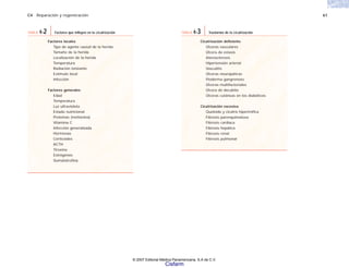 C4 Reparación y regeneración 61
Factores locales
Tipo de agente causal de la herida
Tamaño de la herida
Localización de la herida
Temperatura
Radiación ionizante
Estímulo local
Infección
Factores generales
Edad
Temperatura
Luz ultravioleta
Estado nutricional
Proteínas (metionina)
Vitamina C
Infección generalizada
Hormonas
Corticoides
ACTH
Tiroxina
Estrógenos
Somatotrofina
TABLA 4-2 Factores que influyen en la cicatrización
Cicatrización deficiente
Úlceras vasculares
Úlcera de estasis
Aterosclerosis
Hipertensión arterial
Vasculitis
Úlceras neuropáticas
Pioderma gangrenoso
Úlceras multifactoriales
Úlcera de decúbito
Úlceras cutáneas en los diabéticos
Cicatrización excesiva
Queloide y cicatriz hipertrófica
Fibrosis parenquimatosa
Fibrosis cardiaca
Fibrosis hepática
Fibrosis renal
Fibrosis pulmonar
TABLA 4-3 Trastornos de la cicatrización
© 2007 Editorial Médica Panamericana, S.A de C.V.
Cisfarm
 