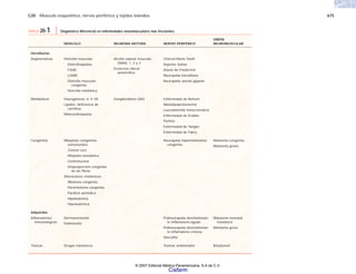 C20 Músculo esquelético, nervio periférico y tejidos blandos 675
TABLA 20-1 Diagnóstico diferencial en enfermedades neuromusculares más frecuentes.
MÚSCULO
Distrofia muscular:
Distrofinopatías
FSHD
LGMD
Distrofia muscular
congénita
Distrofia miotónica
Glucogénesis: II, V, VII
Lípidos: deficiencia de
carnitina
Mitocondriopatías
Miopatías congénitas
estructurales:
Central core
Miopatía nemalínica
Centronuclear
Desproporción congénita
de las fibras
Alteraciones miotónicas:
Miotonía congénita
Paramiotonía congénita
Parálisis periódica:
Hipokalémica
Hiperkalémica
Dermatomiositis
Polimiositis
Drogas miotóxicas
Hereditarias
Degenerativas
Metabólicas
Congénitas
Adquiridas
Inflamatorias/
inmunológicas
Tóxicas
NEURONA MOTORA
Atrofia espinal muscular
(SMA): 1, 2 y 3
Esclerosis lateral
amiotrófica
Gangliosidosis GM2
NERVIO PERIFÉRICO
Charcot-Marie-Tooth
Dejerine Sottas
Ataxia de Friedrerich
Neuropatía hereditaria
Neuropatía axonal gigante
Enfermedad de Refsum
Abetalipoproteinemia
Leucodistrofia metacromática
Enfermedad de Krabbe
Porfiria
Enfermedad de Tangier
Enfermedad de Fabry
Neuropatía hipomielinizante
congénita
Polineuropatía desmielinizan-
te inflamatoria aguda
Polineuropatía desmielinizan-
te inflamatoria crónica
Vasculitis
Toxinas ambientales
UNIÓN
NEUROMUSCULAR
Miastenia congénita
Miastenia gravis
Miastenia neonatal
transitoria
Miastenia grave
Botulismot
© 2007 Editorial Médica Panamericana, S.A de C.V.
Cisfarm
 
