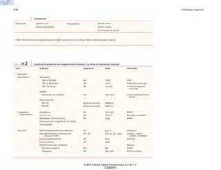 676 Patología especial
TABLA 20-2 Clasificación general de las miopatías más frecuentes y su forma de transmisión conocida.
SUBTIPO
Glucógeno
Tipo II (Pompe)
Tipo V (McArdle)
Tipo VII (Tarui)
Lípidos
Deficiencia de carnitina
Mitocondriales
MELAS
MERRF
Nemalínica
Central core
Miotubular (centronuclear)
Desproporción congénita de las fibras
Desmiopatías
Distrofinopatías (Duchenne/Becker)
Sarcoglicanopatías (síndrome de
cinturas-LGMD)
Facioescapulohumeral
Emery-Dreifuss
Distrofia muscular congénita:
Merosina negativa
Fukuyama
TIPO
1. Miopatías
Metabólicas
Congénitas
estructurales
Distrofias
HERENCIA
AR
AR
AR
AR
Mutación puntual
Mutación puntual
AD
AD
XR
XR
AR, AD
AD
XR
AR
AR
GENE
17q23
11q13
1ccnq32
11p11-p13
tARNLeu
tARNLeu
1q21-q23
19q13.1
Xq28
Xp21.2
15q; 2p; 5p; 13q12
4q35
Xq28
6q2
9q31-q33
PROTEÍNA
GAA
Fosforilasa muscular
Fosfofructoquinasa
muscular
Carnitin-palmitoil-trans-
ferasa
NEM1
Receptor ryanodine
MTM1
Distrofina
LGMD2; LGMD3;
LGMD1; SCARMD1
Emerina
Merosin
FCMD
Proteína kinasa
FSHD: Distrofia fascio-escapulo-numeral; LGMD: distrofia de las cinturas; SMA: atrofia muscular espinal.
Continuación
Miositis viral
Miositis parasitaria
Infecciosas Poliomielitist Herpes zoster
Herpes simple
Enfermedad de Lymet
© 2007 Editorial Médica Panamericana, S.A de C.V.
Cisfarm
 