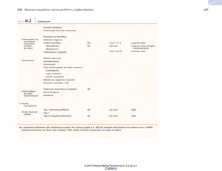 C20 Músculo esquelético, nervio periférico y tejidos blandos 677
TABLA 20-2 Continuación
AD: autosómica dominante; AR: autosómica recesiva; XR: recesiva ligada al X; MELAS: miopatía mitocondrial con acidosis láctica; MERRF:
epilepsia mioclónica con fibras rojas rasgadas; SMA: atrofia muscular espinal (por sus siglas en inglés).
Distrofia miotónica
Enfermedad muscular extraocular
Miotonías no distróficas
Miotonía congénita
Parálisis periódica:
Hiperkalémica
Hipokalémica
Paramiotonía congénita
Miositis infecciosa
Dermatomiositis
Poliomiositis
Otras enfermedades del tejido conectivo:
Escleroderma
Lupus sistémico
Artritis reumatoide
Miositis de cuerpos de inclusión
Miopatías asociadas a VIH
Síndromes miasténicos congénitos
Miastenia gravis
Botulismo
Tipo I (Werdning-Hoffman)
Tipo II
Tipo III (Kugelberg-Welander)
Enfermedades de
membranas
musculares
(canales
de iones)
Inflamatorias
Enfermedades
de unión
neuromuscular
2. Atrofias
neurogénicas
Atrofia muscular
espinal
AD
AD
AR
AR
AR
17q13.1-13.3
1q31-q32
17q13.1-q13.2
5q11-q13
5q11-q13
Canal de sodio
Canal de calcio (receptor
dehidropiridina)
Canal de sodio
SMA
SMA
© 2007 Editorial Médica Panamericana, S.A de C.V.
Cisfarm
 