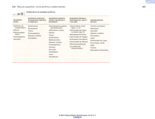 C20 Músculo esquelético, nervio periférico y tejidos blandos 683
NEUROPATÍA
AGUDA
Síndrome de
Guillain-Barré
Difteria
Polineuropatía
tóxica
Paraneoplásica
Vasculitis
TABLA 20-12
Clasificación de las neuropatías periféricas.
NEUROPATÍA SUBAGUDA
SENSOMOTORA SIMÉTRICA
O ASIMÉTRICA
Avitaminosis
Alcoholismo
Tóxica
Paraneoplásica
Diabetes mellitus
Sarcoidosis
NEUROPATÍA PERIFÉRICA
CRÓNICA PROGRESIVA O
RECURRENTE
Polirradiculoneuropatía
desmielinizante
Inflamatoria crónica
Porfiria
Tóxica
Avitaminosis
Medicamentos
Diabetes mellitus
Paraneoplásica
Urémica
Vasculitis
Amiloidosis
Lepra
Hereditarias
NEUROPATÍA PERIFÉRICA
HEREDITARIA DEL ADULTO
Y DEL NIÑO
Charcot-Marie-Tooth
(tipos 1 y 2)
Enfermedad de Déjéri-
ne-Sottas (tipo 3)
Abetalipoproteinemia
Enfermedad de Tangier
Amiloidosis hereditaria
Enfermedad de Refsum
Adrenoleucodistrofia
Leucodistrofia
metacromática
MONONEUROPATÍA
MÚLTIPLE
Tumores primarios
Metástasis
Vasculitis
Diabetes mellitus
Sarcoidosis
Lepra
Enfermedad de Lyme
Post-herpes zoster
SIDA
Trauma
Neuropatía tomaculosa
© 2007 Editorial Médica Panamericana, S.A de C.V.
Cisfarm
 