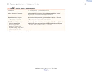 C20 Músculo esquelético, nervio periférico y tejidos blandos 685
ENFERMEDAD HALLAZGOS CLÍNICOS Y ANATOMOPATOLÓGICOS
NSAH I: autosómica dominante Neuropatía predominantemente sensitiva que afecta a adultos jóvenes
Degeneración axonal (principalmente fibras mielínicas)
NSAH II: autosómica recesiva Neuropatía predominantemente sensitiva que inicia durante la lactancia
Algunos casos esporádica Degeneración axonal (sobre todo fibras mielínicas)
NSAH III: autosómica recesiva Neuropatía predominantemente autónoma, que se inicia durante la lactancia
(síndrome de Riley-Day; Degeneración axonal (principalmente fibras amielínicas), atrofia y pérdida
disautonomía familiar); de células de los ganglios sensitivos y autónomos
autosómica recesiva (más
frecuente en niños judíos; locus
en cromosoma 9q31-q33)
* NSAH: neuropatías sensitivas y autónomas hereditarias.
TABLA 20-14 Neuropatías sensitivas y autónomas hereditarias.*
© 2007 Editorial Médica Panamericana, S.A de C.V.
Cisfarm
 
