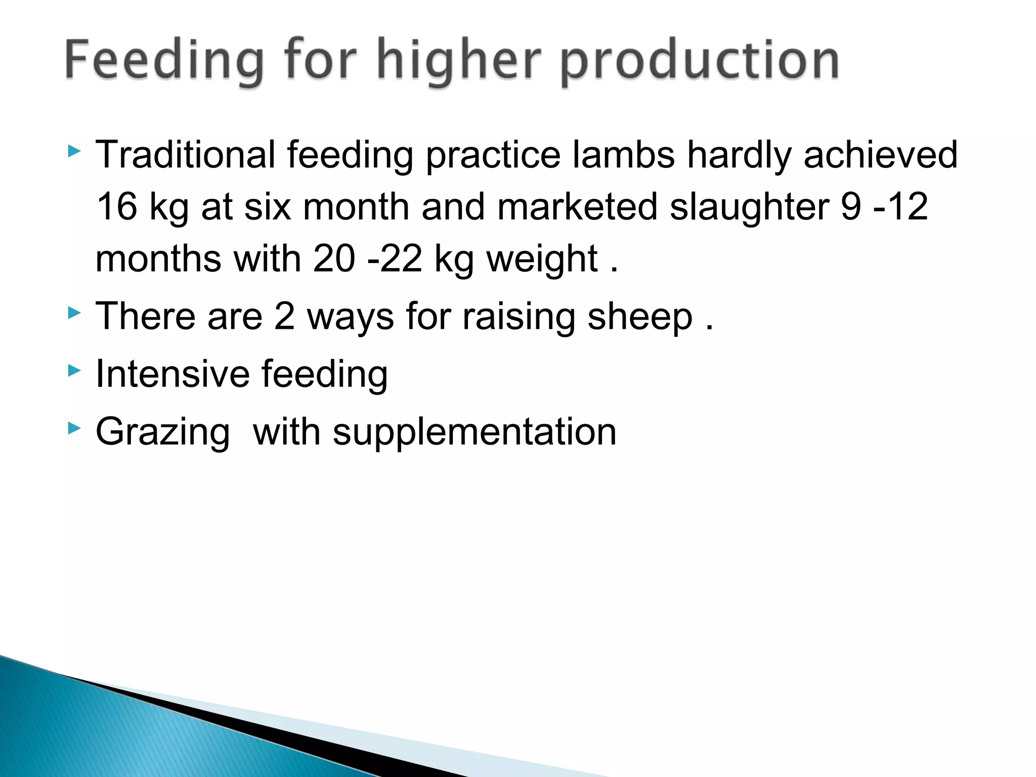  Traditional feeding practice lambs hardly achieved
16 kg at six month and marketed slaughter 9 -12
months with 20 -22 kg weight .
 There are 2 ways for raising sheep .
 Intensive feeding
 Grazing with supplementation
 