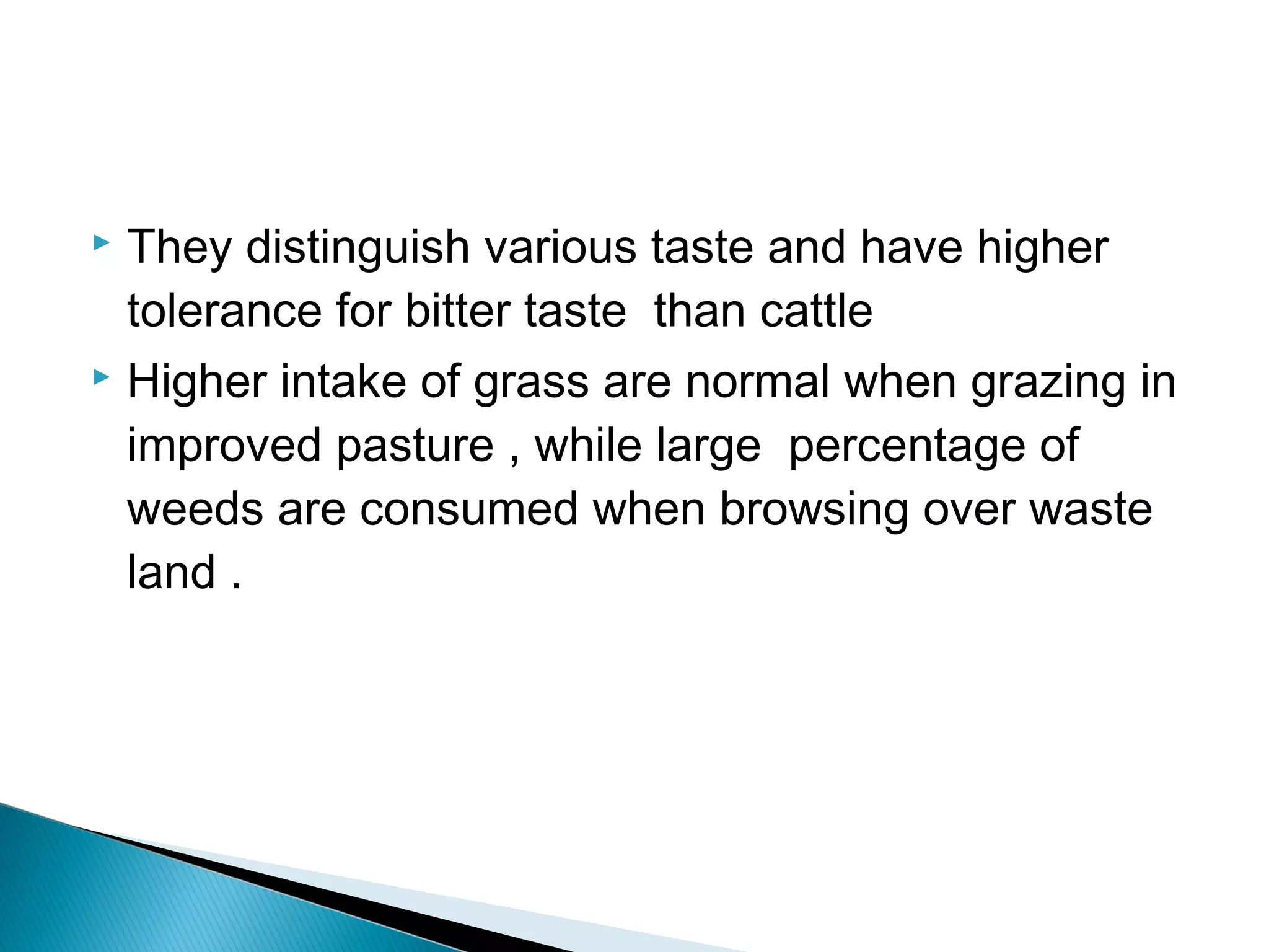  They distinguish various taste and have higher
tolerance for bitter taste than cattle
 Higher intake of grass are normal when grazing in
improved pasture , while large percentage of
weeds are consumed when browsing over waste
land .
 