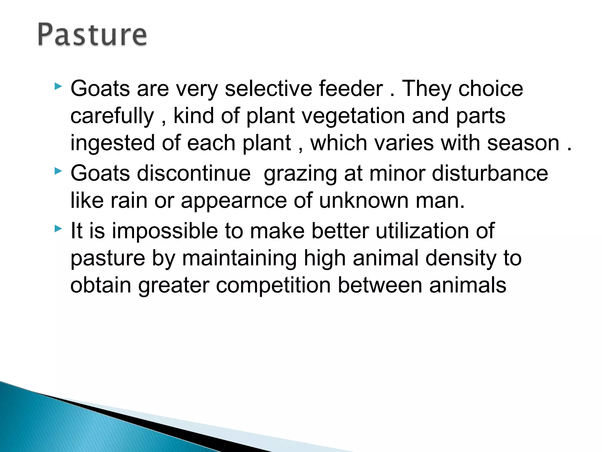  Goats are very selective feeder . They choice
carefully , kind of plant vegetation and parts
ingested of each plant , which varies with season .
 Goats discontinue grazing at minor disturbance
like rain or appearnce of unknown man.
 It is impossible to make better utilization of
pasture by maintaining high animal density to
obtain greater competition between animals
 