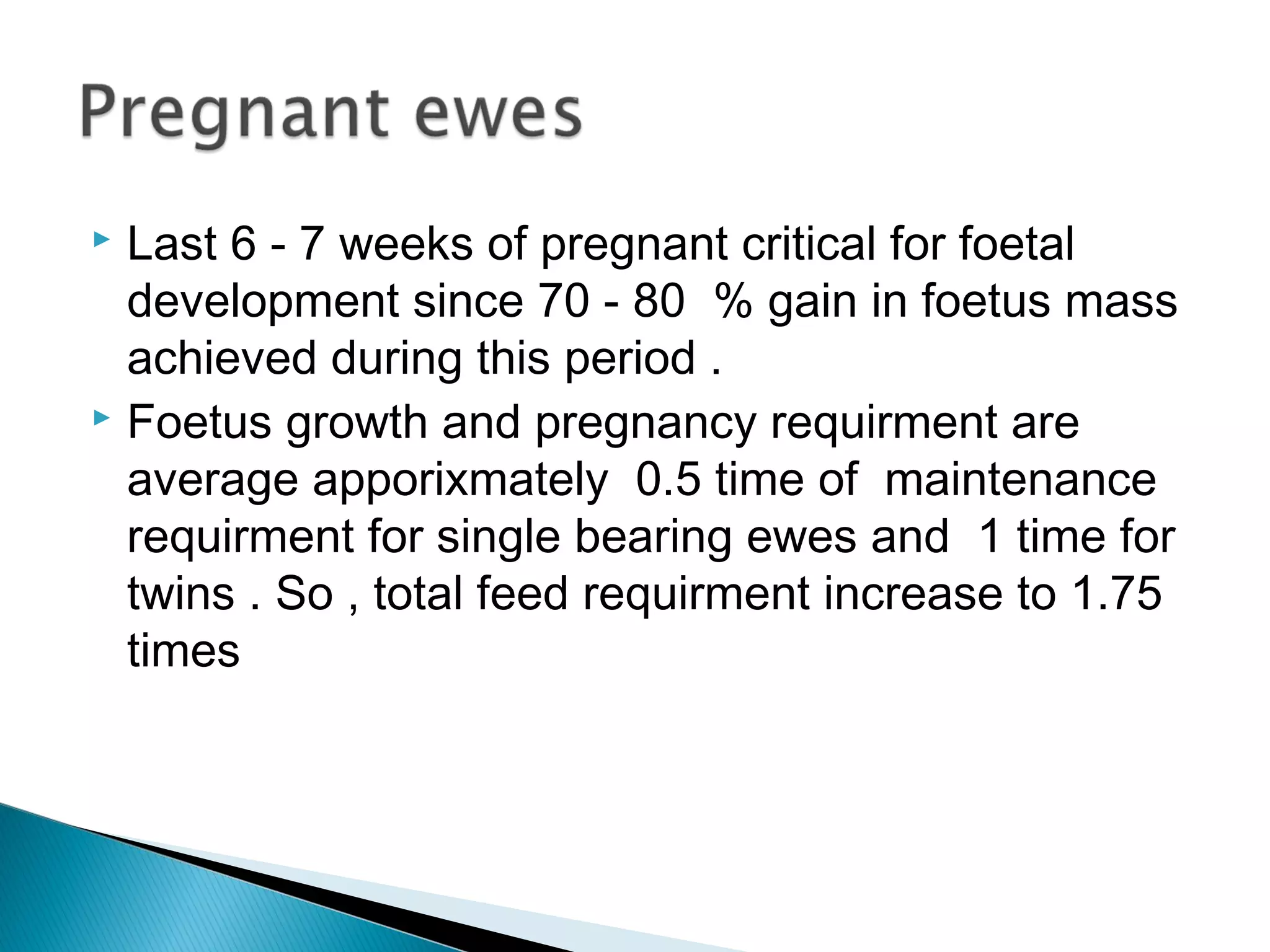  Last 6 - 7 weeks of pregnant critical for foetal
development since 70 - 80 % gain in foetus mass
achieved during this period .
 Foetus growth and pregnancy requirment are
average apporixmately 0.5 time of maintenance
requirment for single bearing ewes and 1 time for
twins . So , total feed requirment increase to 1.75
times
 