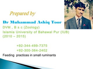 Dr Muhammad Ashiq Toor
DVM , B s c (Zoology)
Islamia University of Bahawal Pur (IUB)
(2010 – 2015)
+92-344-499-7375
+92-300-364-2402
Feeding practices in small ruminants
 