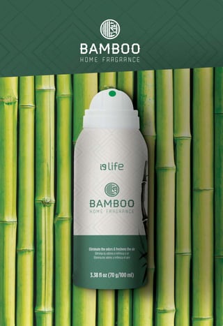 CATALAGO EDIÇÃO Nº 7