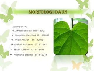 Morfologi Daun

 
