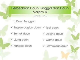 Perbedaan Daun Tunggal dan Daun
Majemuk
1. Daun Tunggal
 Bagian-bagian daun  Tepi daun
 Bentuk daun

 Daging daun

 Ujung daun

 Warna daun

 Pangkal daun

 Permukaan daun

 