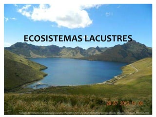 ECOSISTEMAS LACUSTRES
Tomado de http://www.tripadvisor.es/LocationPhotoDirectLink-g303848-d4572385-i73931342-Otavalo-Otavalo_Imbabura_Province.html
 