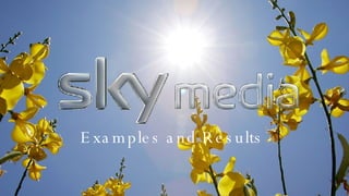 Examples and Results  