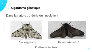 TECHNIQUES
Algorithme génétique
12
19
Dans la nature : théorie de l’évolution
Phalène du bouleau
Forme typica Forme carbonari
 