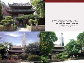 ‫نباتي‬ ‫زرع‬(‫التنين‬ ‫عين‬)‫و‬(‫ال‬ ‫عين‬‫عنقاء‬)
‫اسم‬ ‫أكسبه‬ ‫مما‬ ‫المسجد‬ ‫جانبي‬ ‫على‬
(‫والعنقاء‬ ‫التنين‬ ‫مسجد‬)ً‫ا‬‫أيض‬.
 