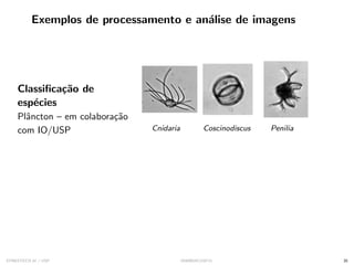 Exemplos de processamento e análise de imagens
Classificação de
espécies
Plâncton – em colaboração
com IO/USP Cnidaria Coscinodiscus Penilia
SYNESTECH.AI / USP IA90@SIICUSP31 35
 