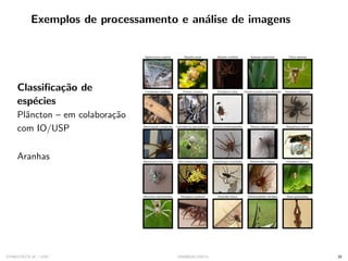 Exemplos de processamento e análise de imagens
Classificação de
espécies
Plâncton – em colaboração
com IO/USP
Aranhas
SYNESTECH.AI / USP IA90@SIICUSP31 35
 