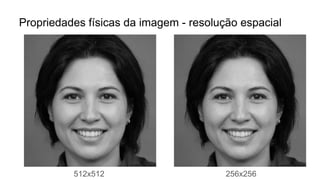 Propriedades físicas da imagem - resolução espacial
512x512 256x256
 