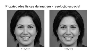 Propriedades físicas da imagem - resolução espacial
512x512 128x128
 