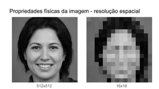 Propriedades físicas da imagem - resolução espacial
512x512 16x16
 