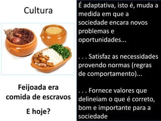 Cultura
É adaptativa, isto é, muda a
medida em que a
sociedade encara novos
problemas e
oportunidades...
. . . Satisfaz as necessidades
provendo normas (regras
de comportamento)...
. . . Fornece valores que
delineiam o que é correto,
bom e importante para a
sociedade
Feijoada era
comida de escravos
E hoje?
 