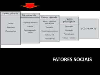 FATORES SOCIAIS
 