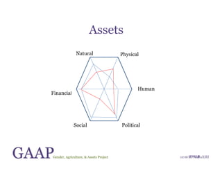 Gender, Agriculture and Assets Project: A model for research and capacity building