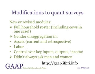 Gender, Agriculture and Assets Project: A model for research and capacity building