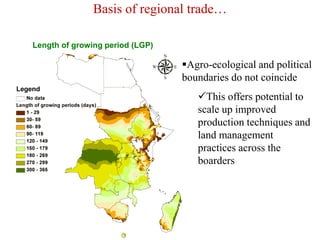 Exploiting opportunities in intra-regional trade in food staples in COMESA region