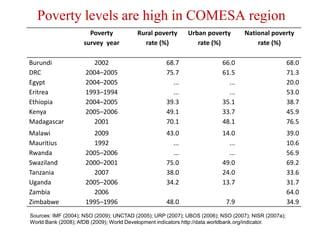 Exploiting opportunities in intra-regional trade in food staples in COMESA region