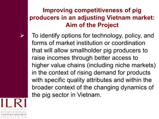 Smallholder competitiveness: Insights from pig production systems in Vietnam