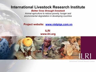 Smallholder competitiveness: Insights from pig production systems in Vietnam