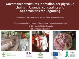 Governance structures in smallholder pig value
chains in Uganda: constraints and
opportunities for upgrading
Emily Ouma, Justus Ochieng, Michel Dione and Danilo Pezo
5th International Association of Agricultural Economists Conference
UNCC – Addis Ababa, Ethiopia
23-26th September 2016
 