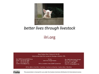 Governance structures in smallholder pig value chains in Uganda: Constraints and opportunities for upgrading