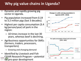 Governance structures in smallholder pig value chains in Uganda: Constraints and opportunities for upgrading