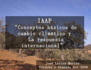 IAAP “Conceptos básicos de cambio climático y  La respuesta internacional”   José Larios Martón  Córdoba y Granada Nov 2008 