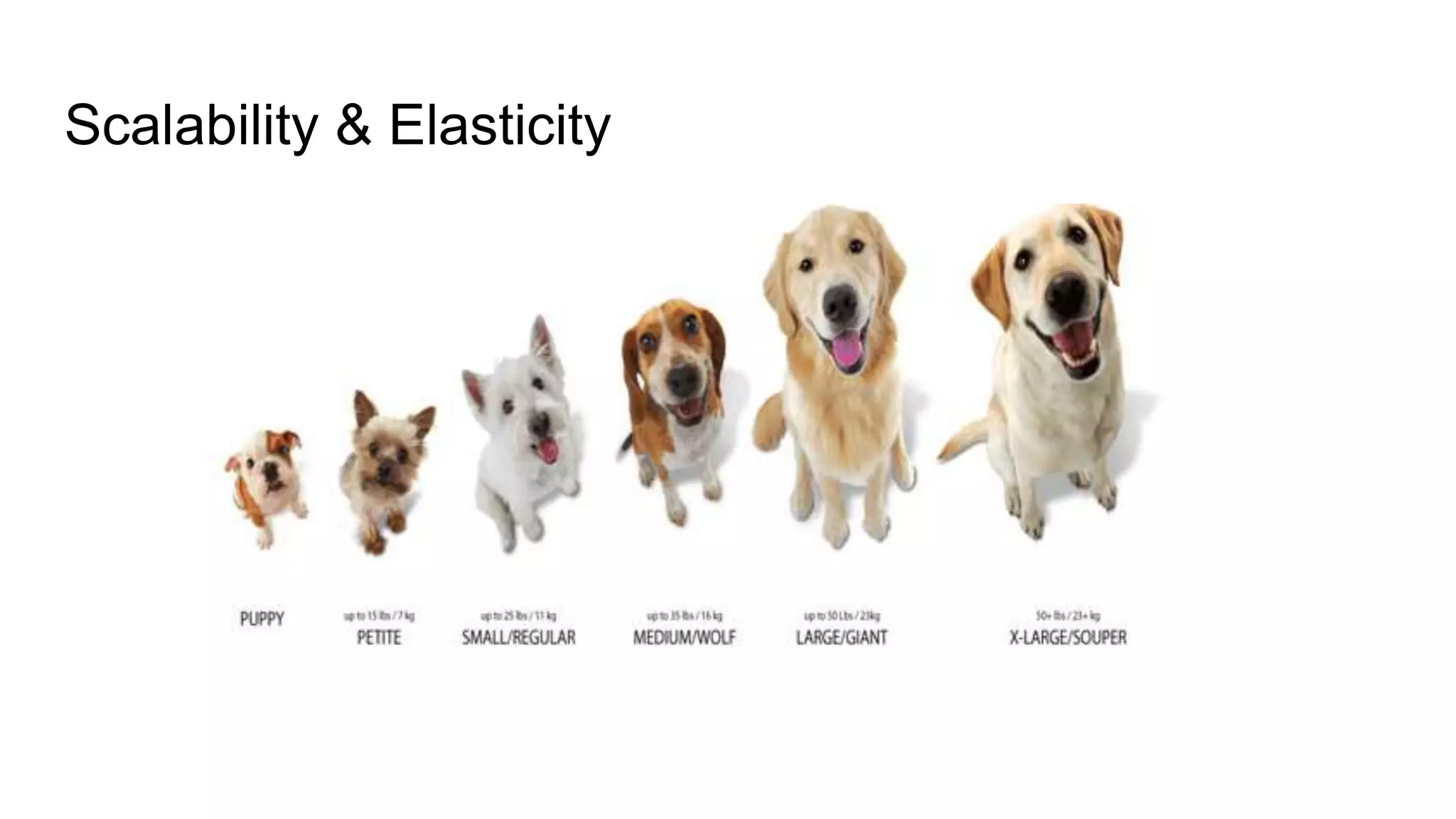 Scalability & Elasticity
 